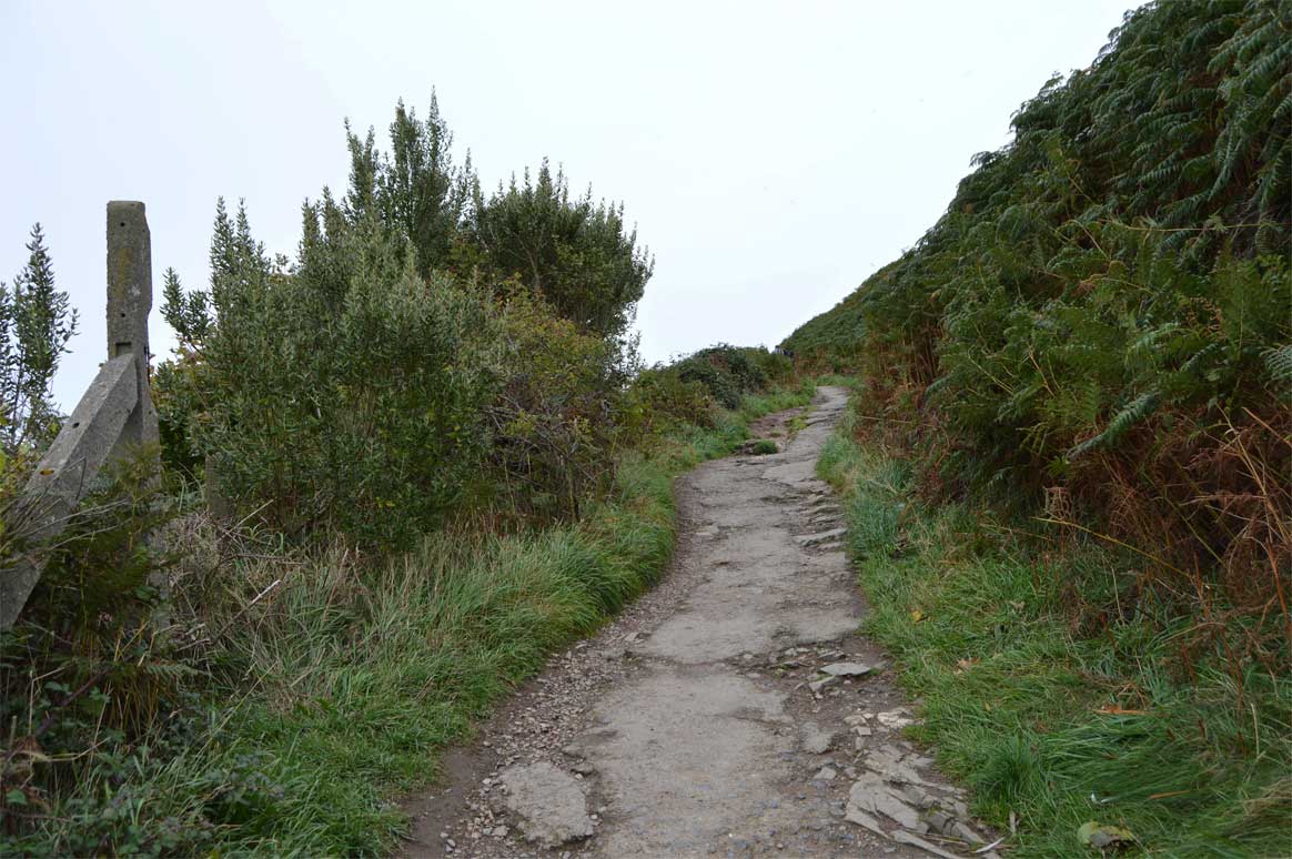 Acantilados de Howth Acantilados de Howth