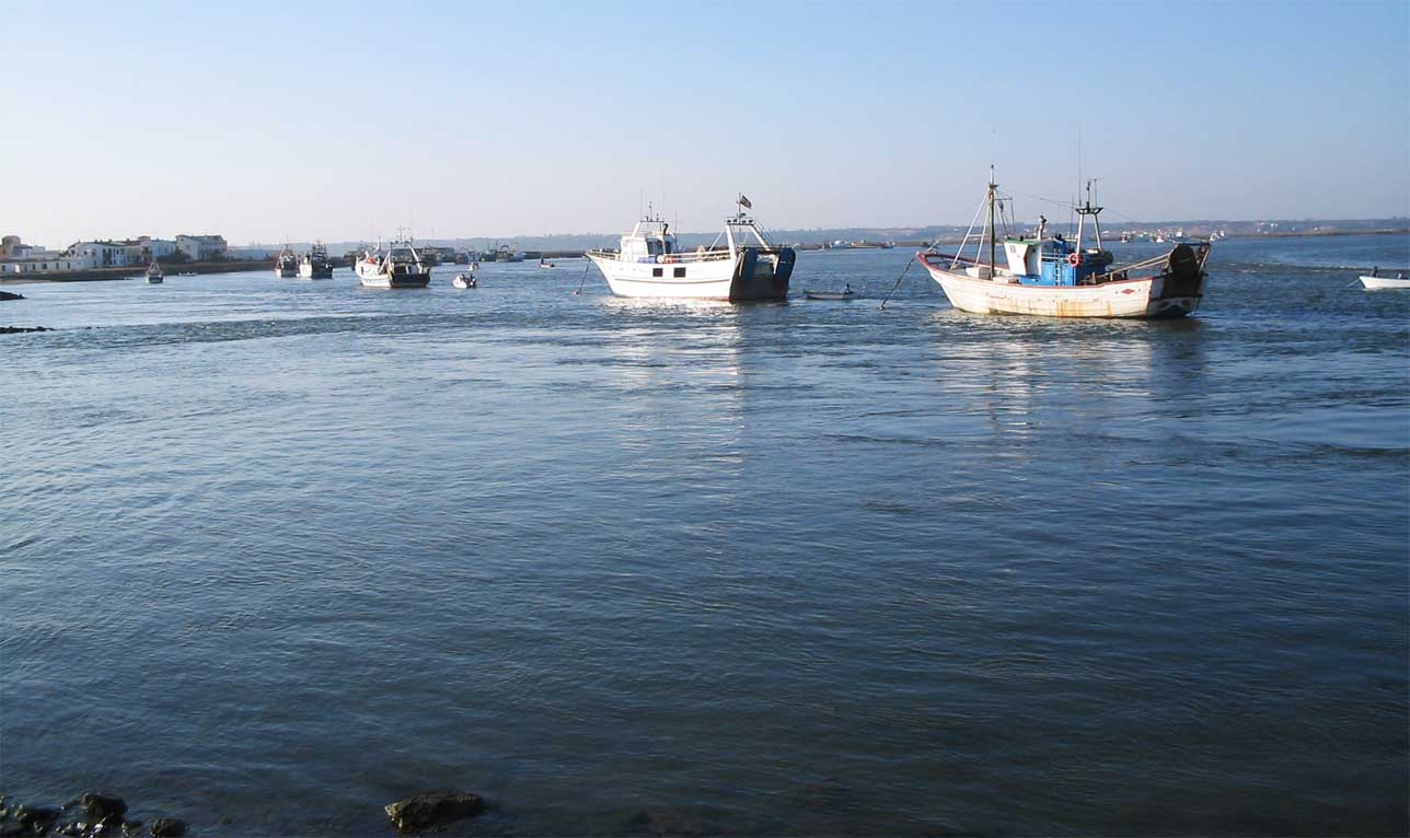pesqueros isla cristina