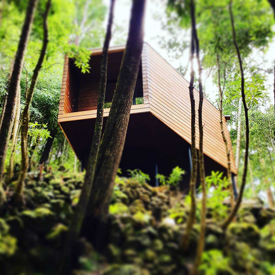 alojamiento tipo Casa de árbol