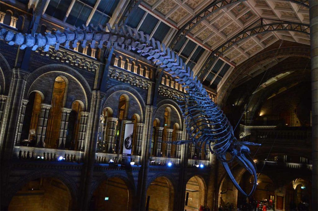 Museo de las ciencias de Londres