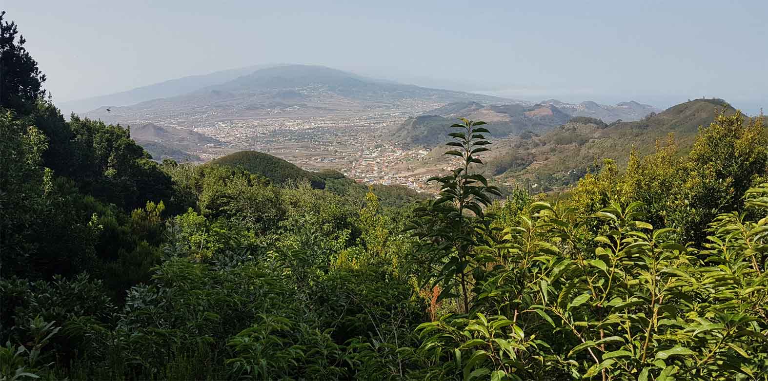 Mirador de Zapata Anaga