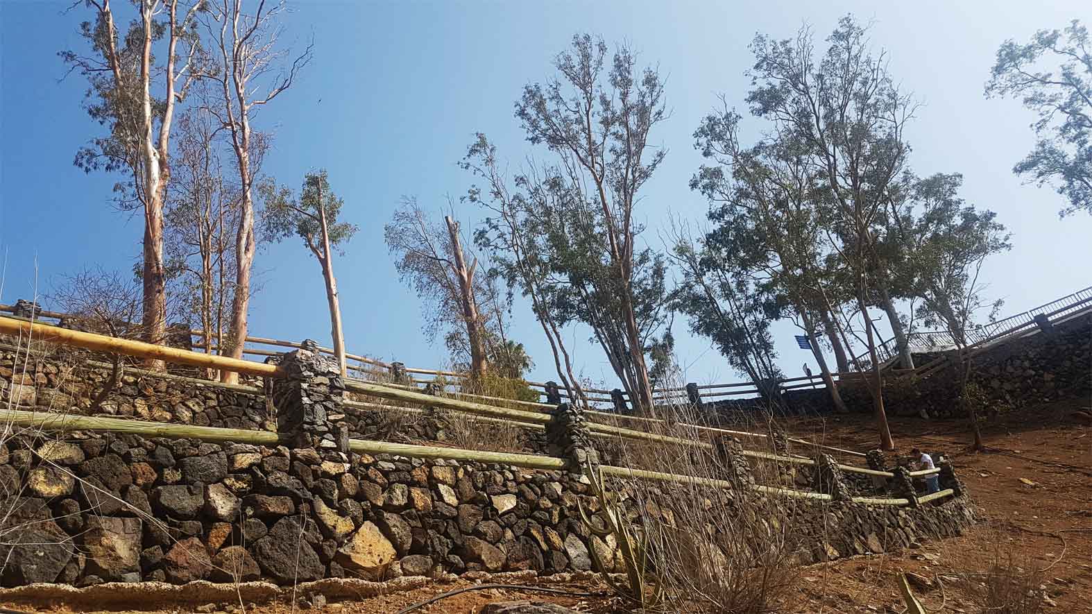 mirador Lo Gigantes en Tenerife