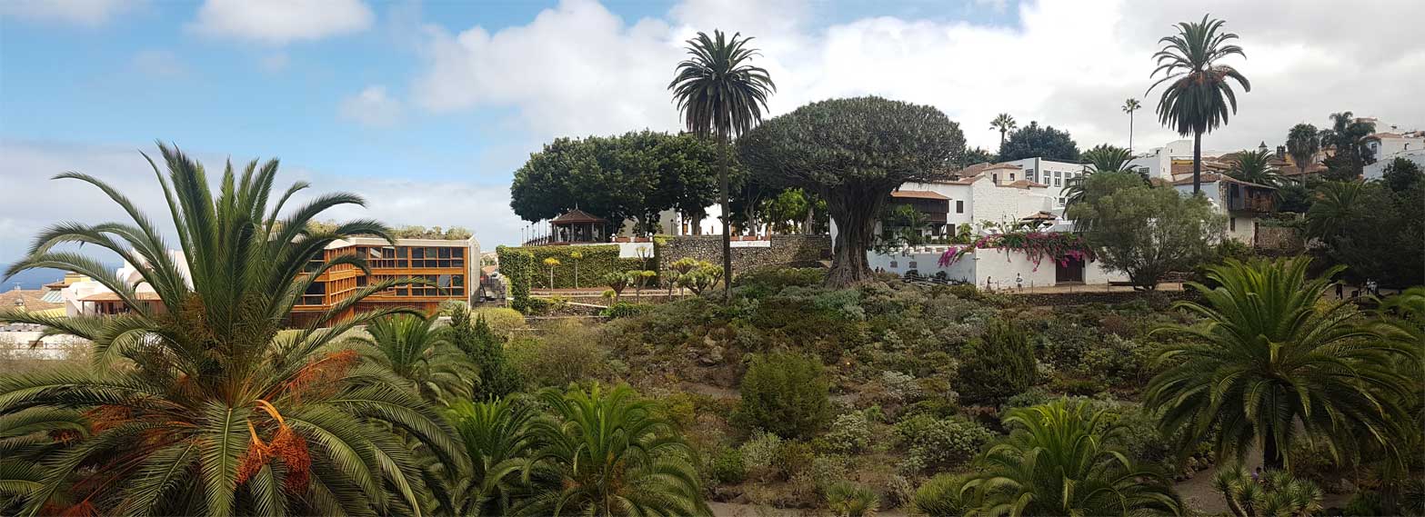 Parque del Drago