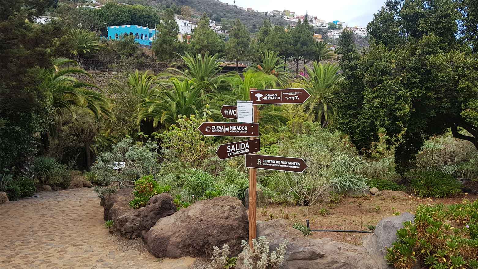 Parque del Drago