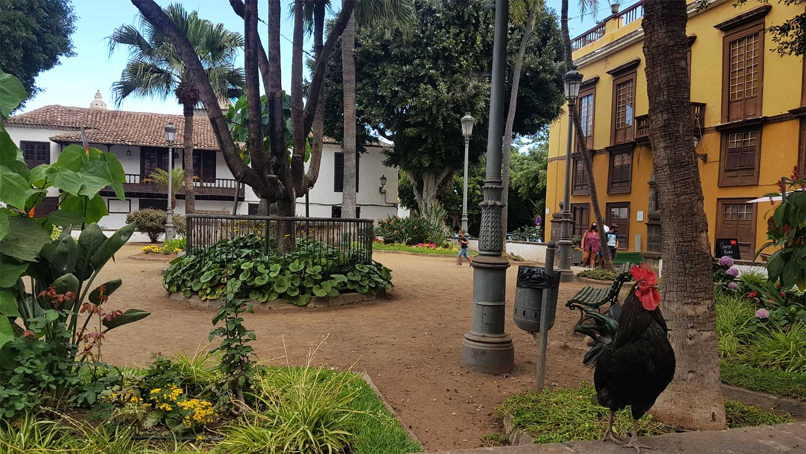Plaza de la Pila Icod de los Vinos