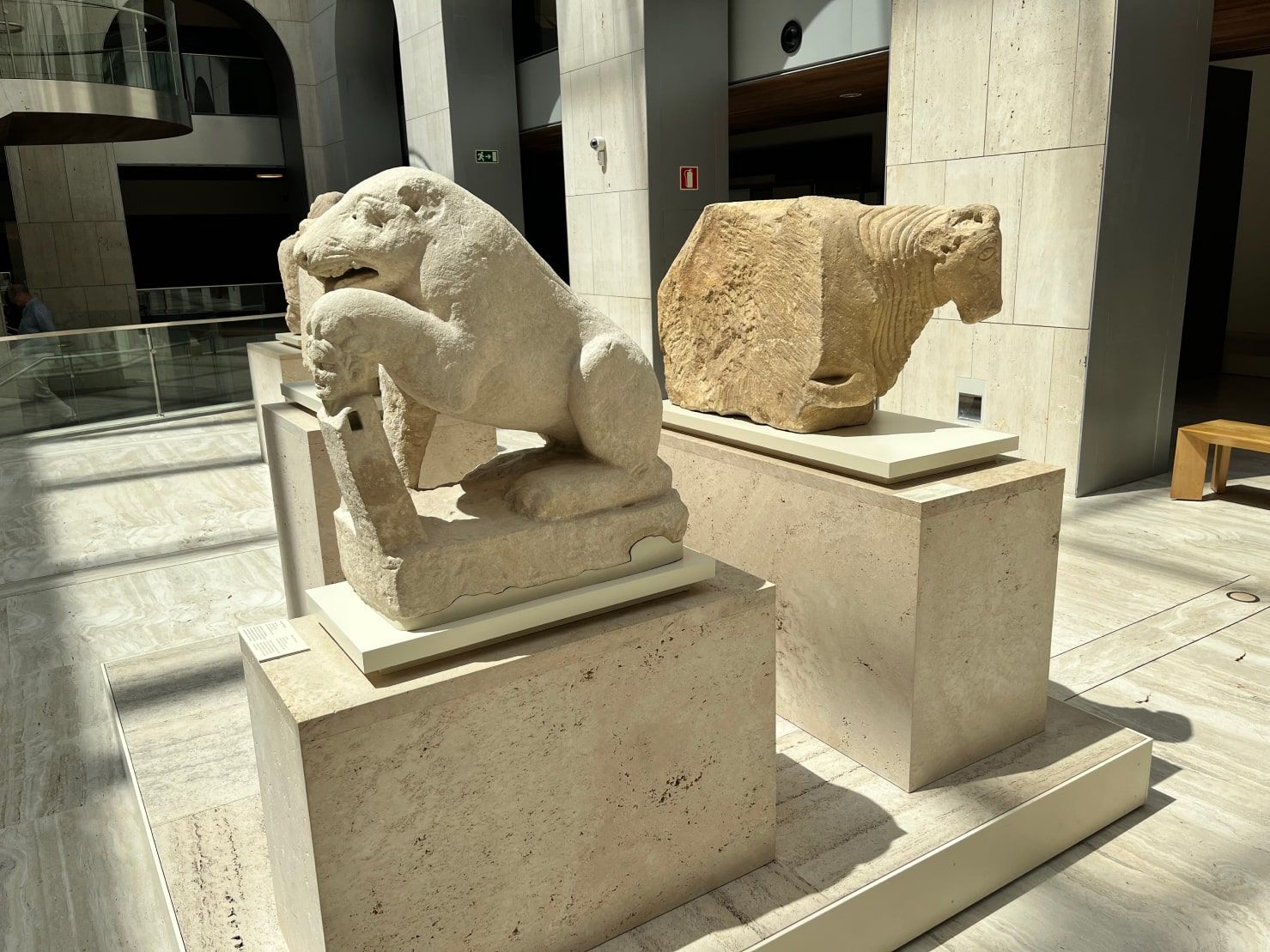 Osa de Porcuna y Toro