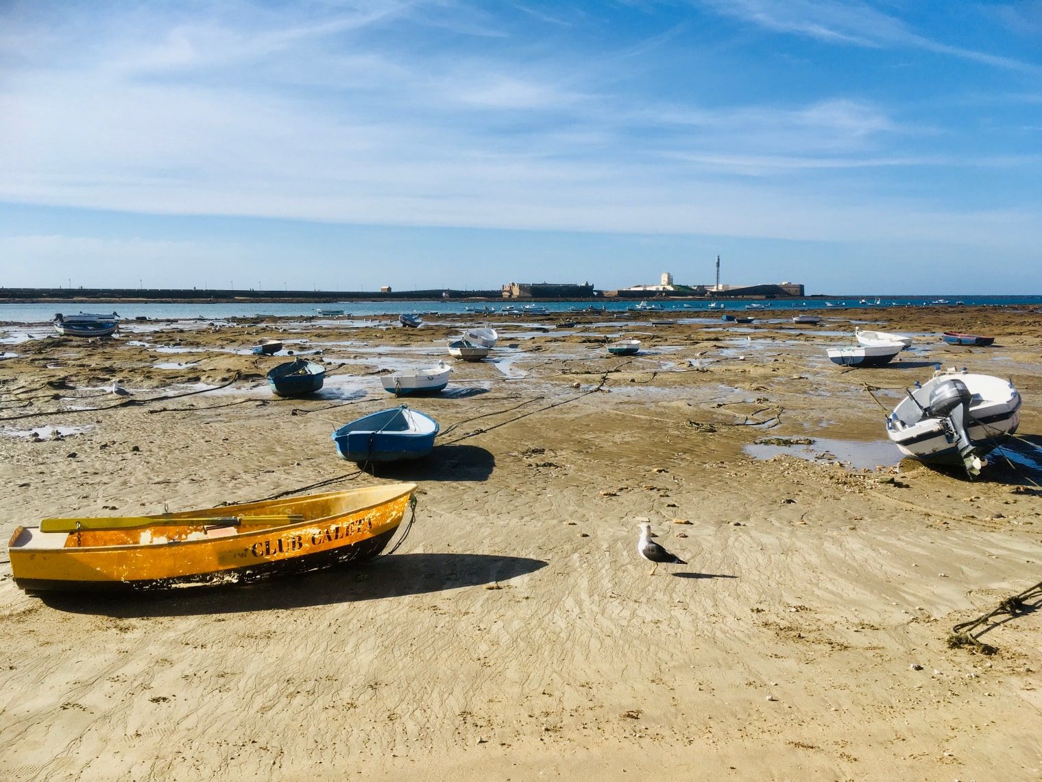 Playa de la Caleta