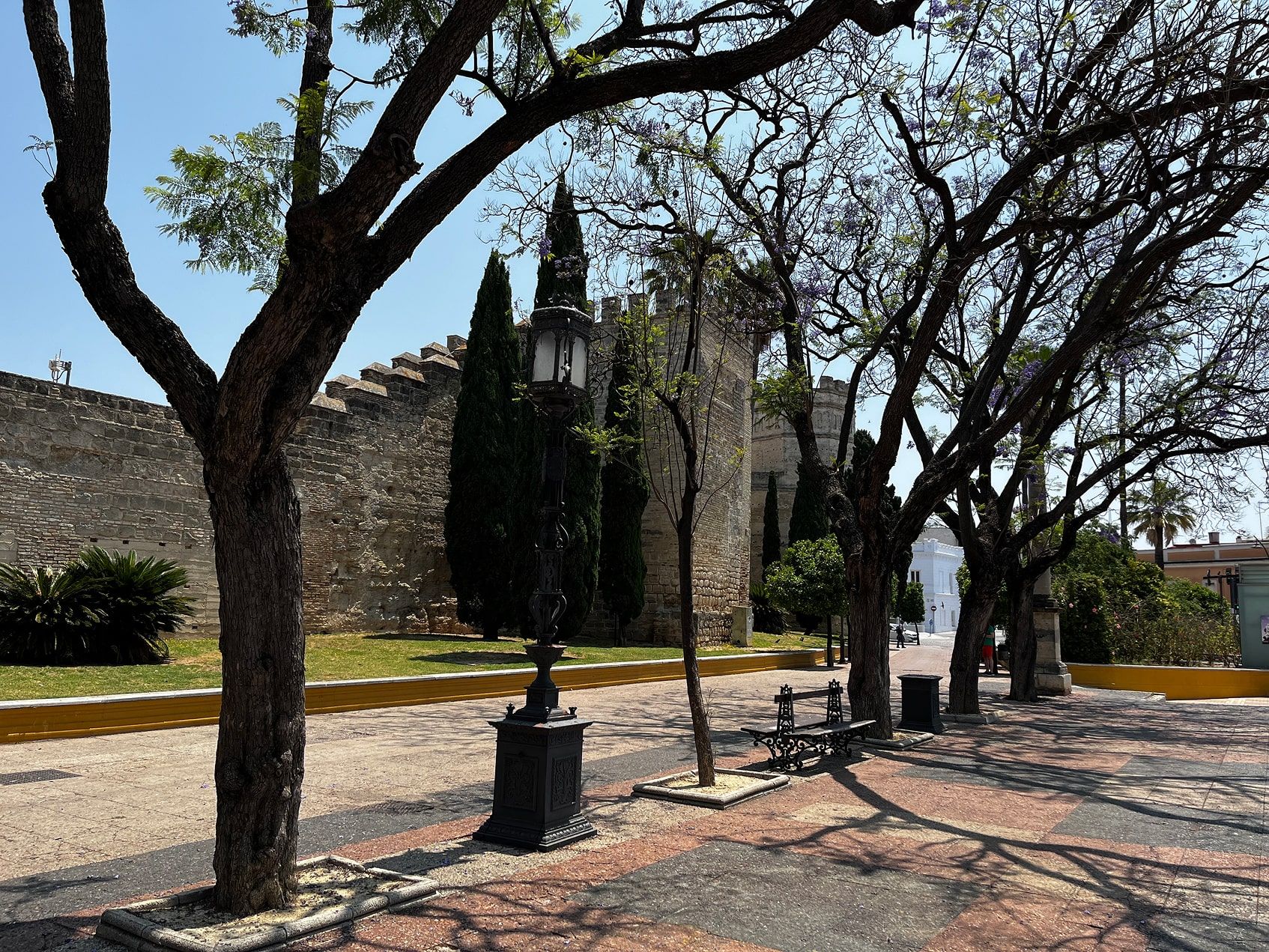 Alameda Vieja