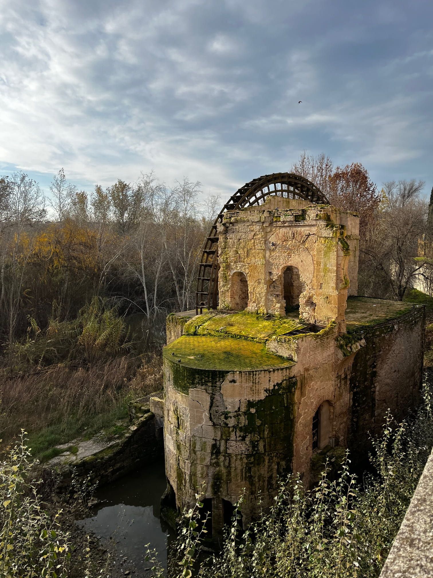 Molino de Abolafia