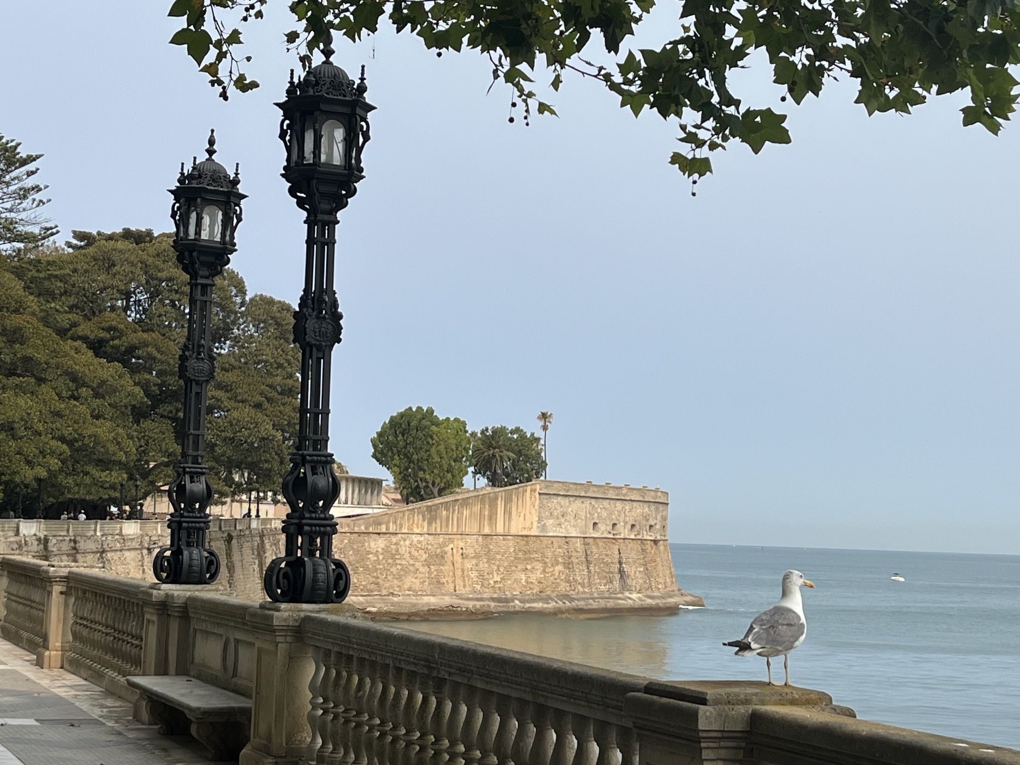 Baluarte de la candelaria
